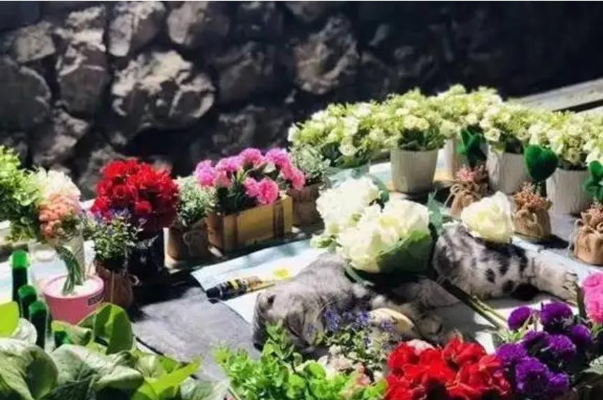 三个冷门行业,揭秘一个冷门的火爆的行业