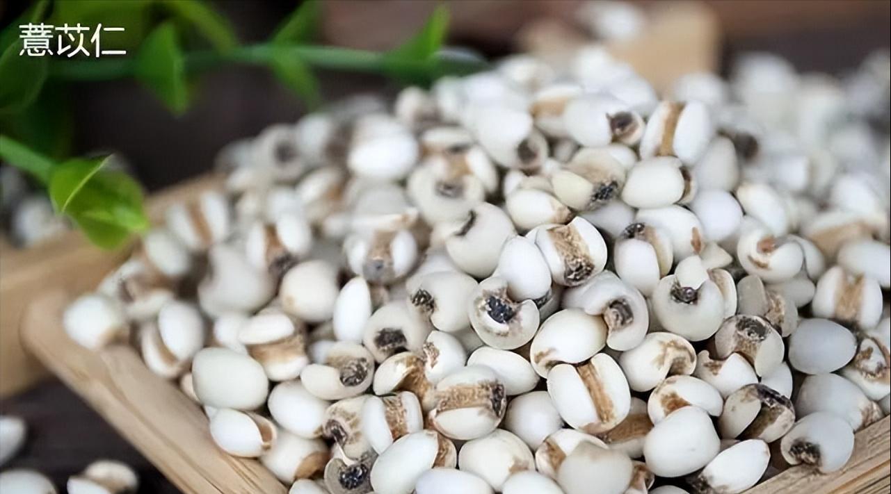 小腿静脉曲张已经肿胀怎么治,金匮要略下肢静脉曲张