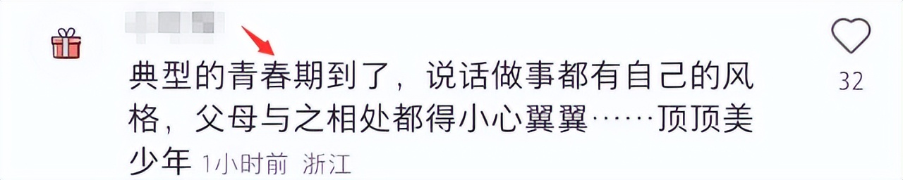 董洁儿子顶顶探班,董洁和儿子顶顶现身机场