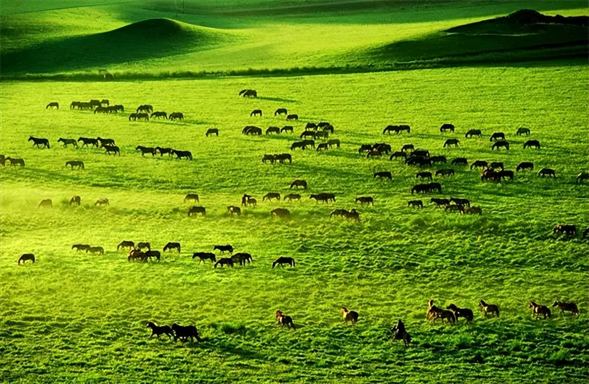 这么近那么美周末到河北去哪里玩,河北省小众宝藏旅行地一日游