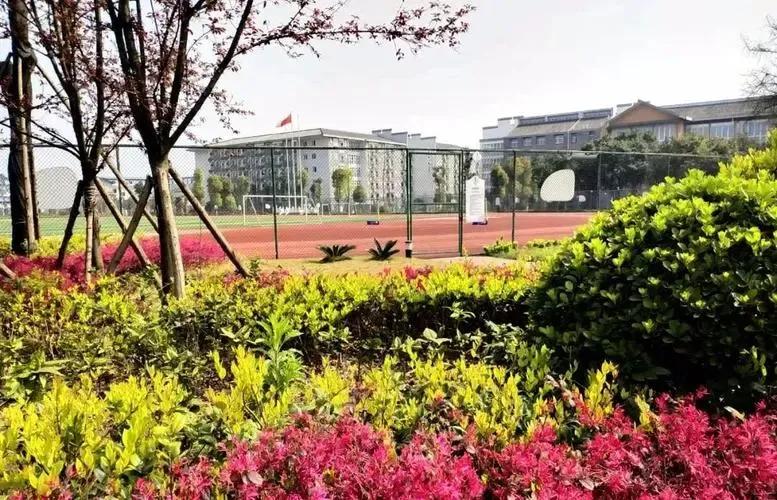 初中英语作文我的学校生活,初中校园生活满分作文800字