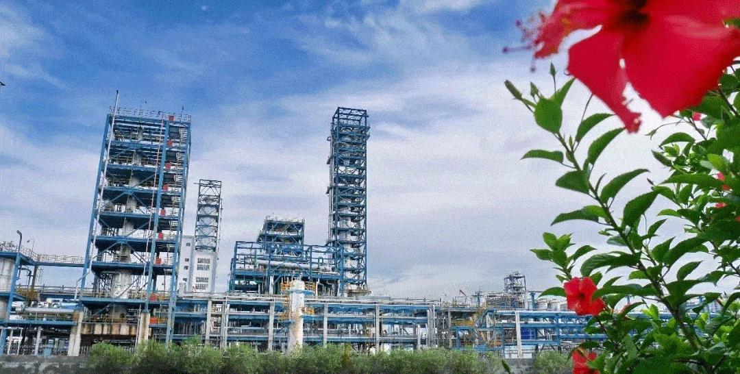 电白发展南海片区吗,茂名电白要怎么发展