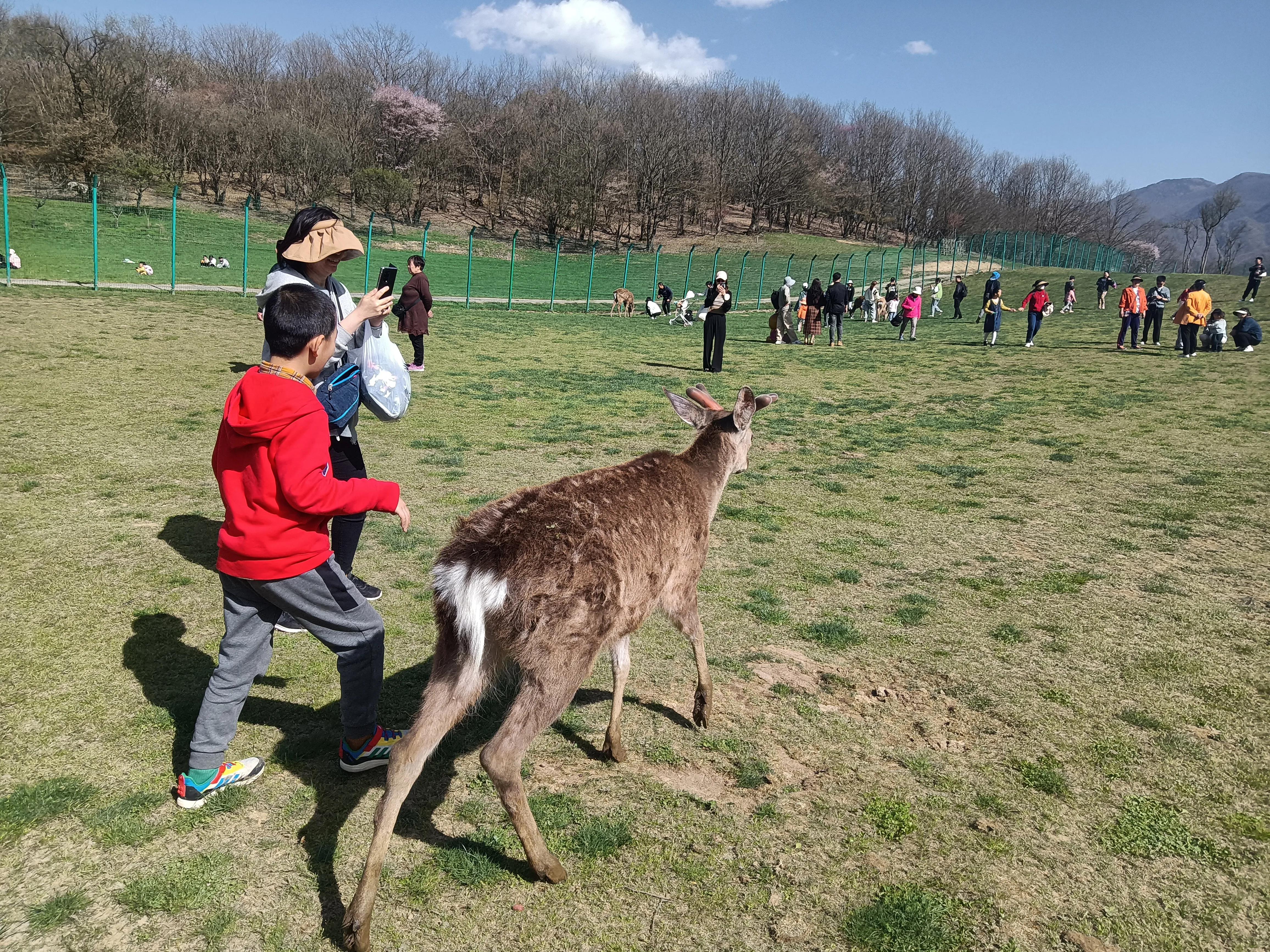 空中的神农架大九湖全貌,湖北神农架大九湖游记