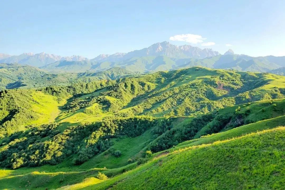 速收！兰州出发，临夏太子山旅游大通道及3-5日大环线自驾游攻略！