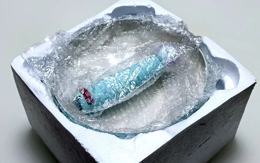 懒米抱抱奶锅和帝伯朗奶锅测评,帝伯朗乐园奶锅