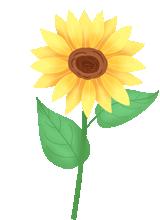 暑假韶关有什么好玩的地方,韶关周边避暑胜地亲子游