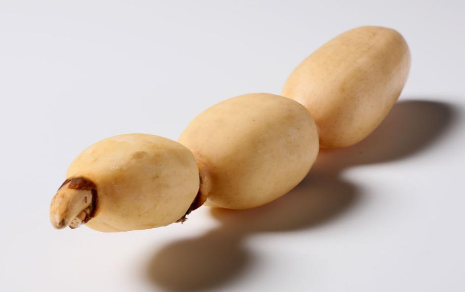 7个月41斤的胖宝宝,7个月41斤宝宝原视频