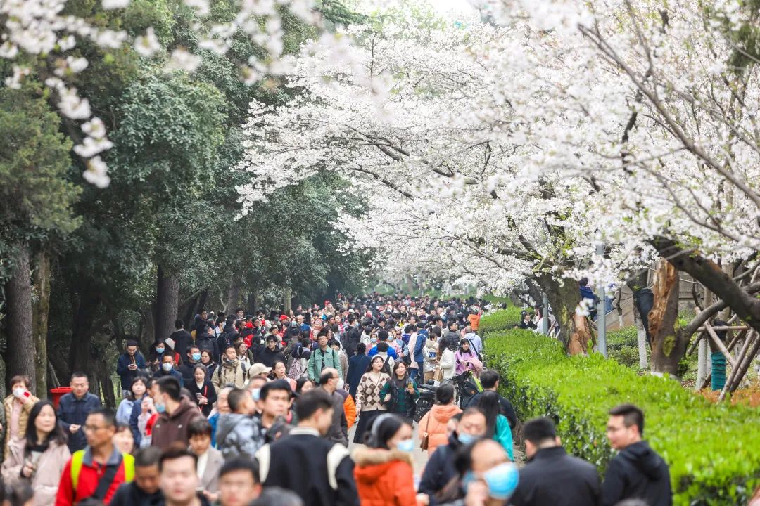 全国“两红两优”群像|盛世中华有我,以青春之光聚万顷星河④疫情防控篇