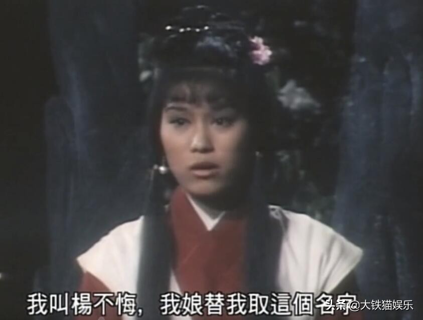 杨不悔黎姿,八版杨不悔