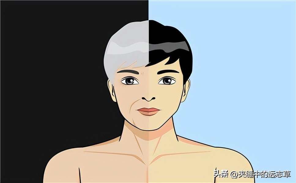 突然大面积脱发斑秃是什么病,脱发还有斑秃的迹象怎么办