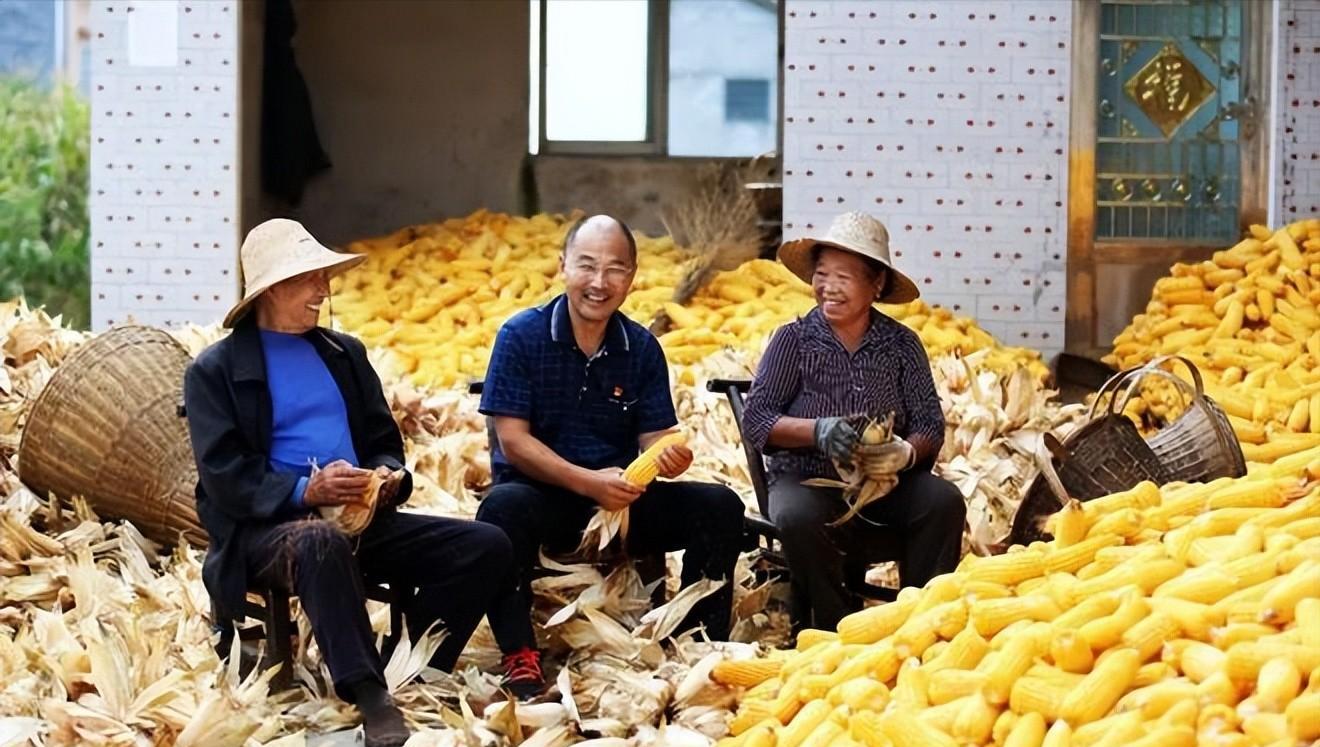 女校长张桂梅孩子都考清华北大吗,女高校长张桂梅连续12年送考