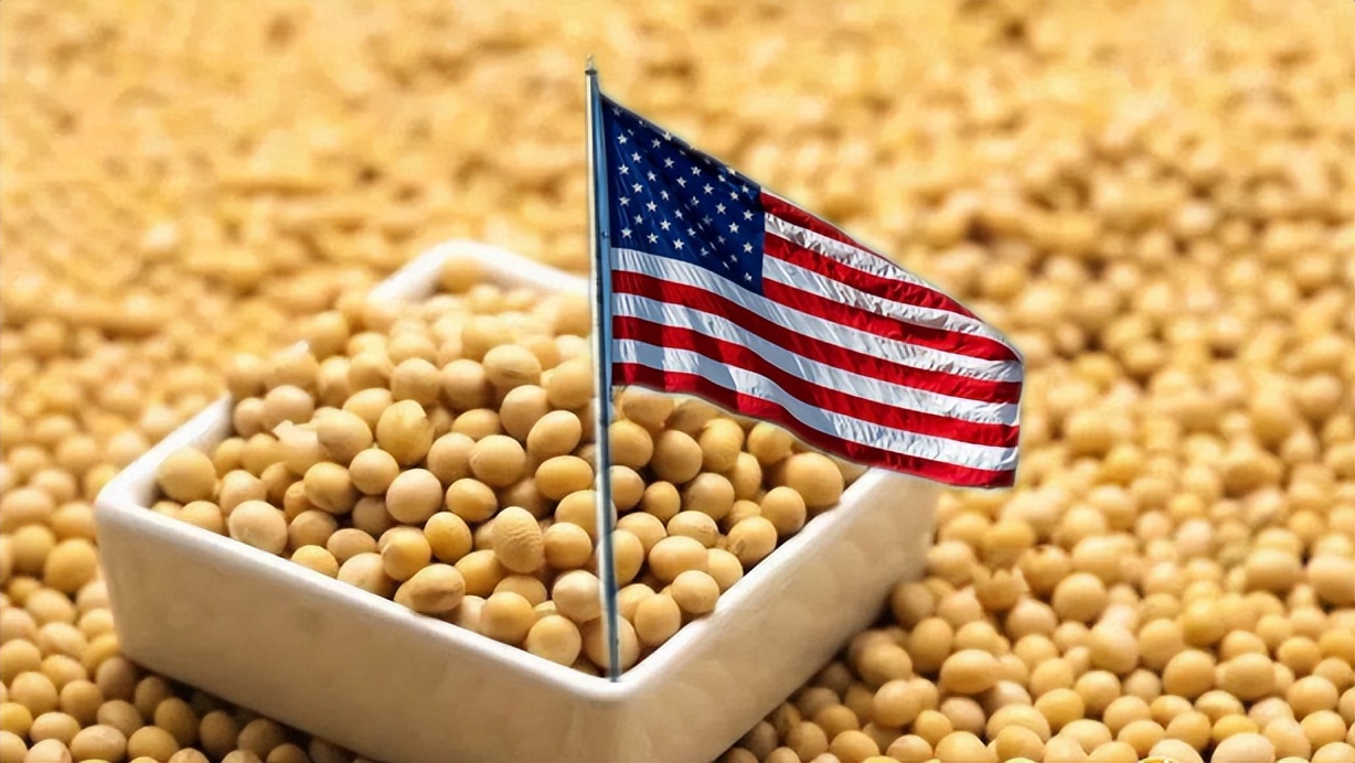 美国对中国出口持续增加,我国买了人家什么东西?答案来了