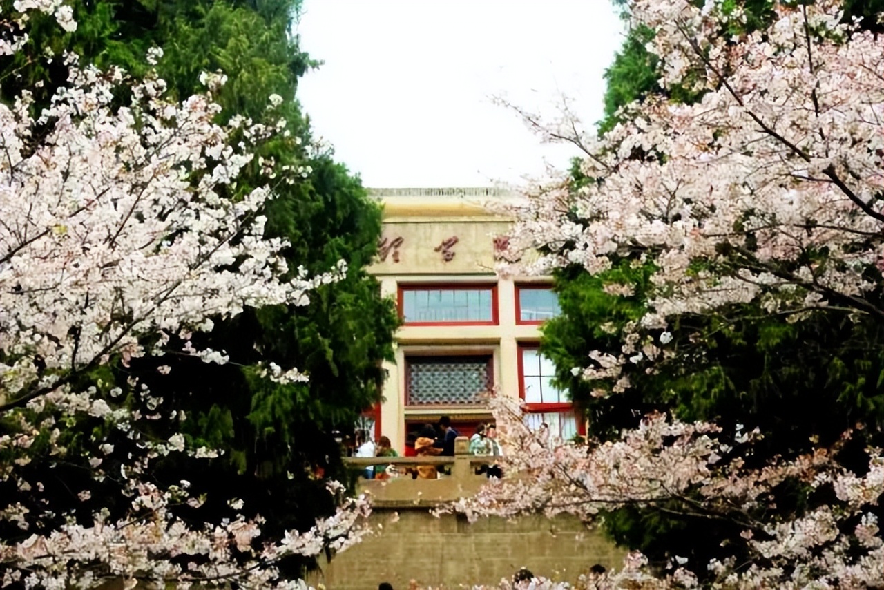 看樱花不知道去哪十大赏樱圣地,全国赏樱地图出炉樱花全面绽放