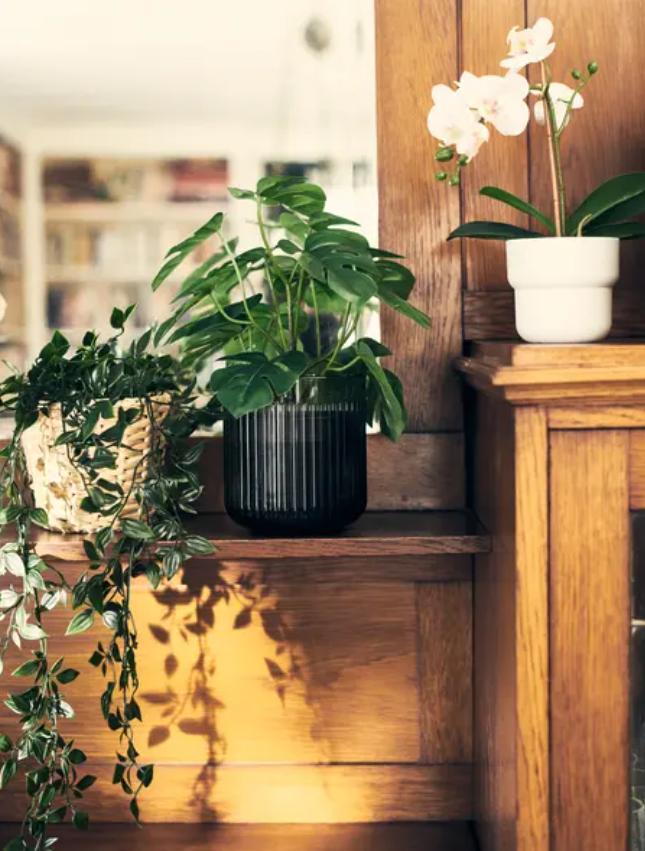 宜家推荐好物小物件,宜家必买20件平价好物