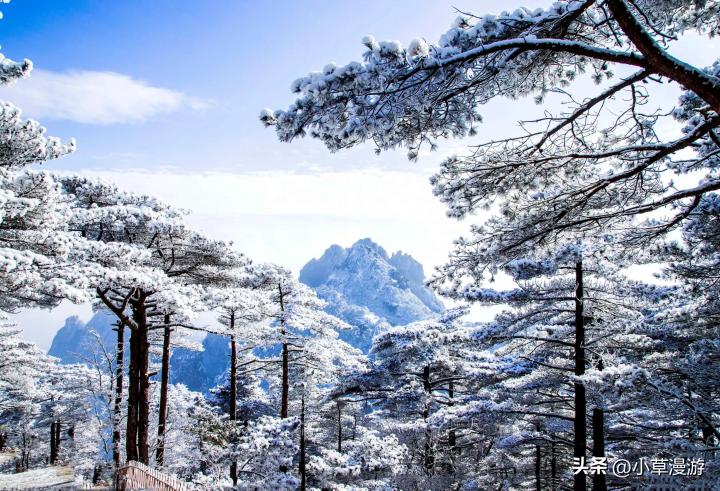 冬天适合旅游的南方城市有哪些,安徽省冬天适合去哪旅游最合适