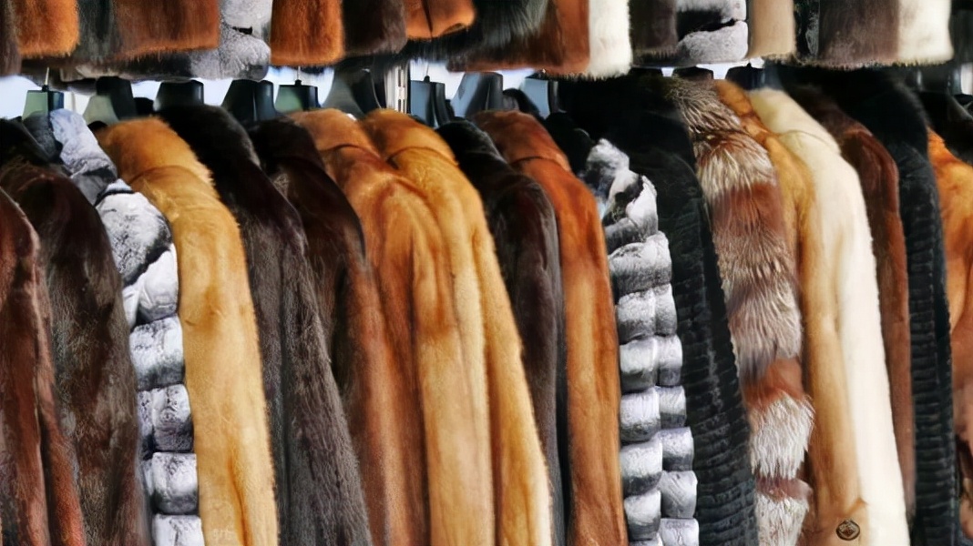为何穿裘皮的越来越少,为啥穿貂皮的越来越少了