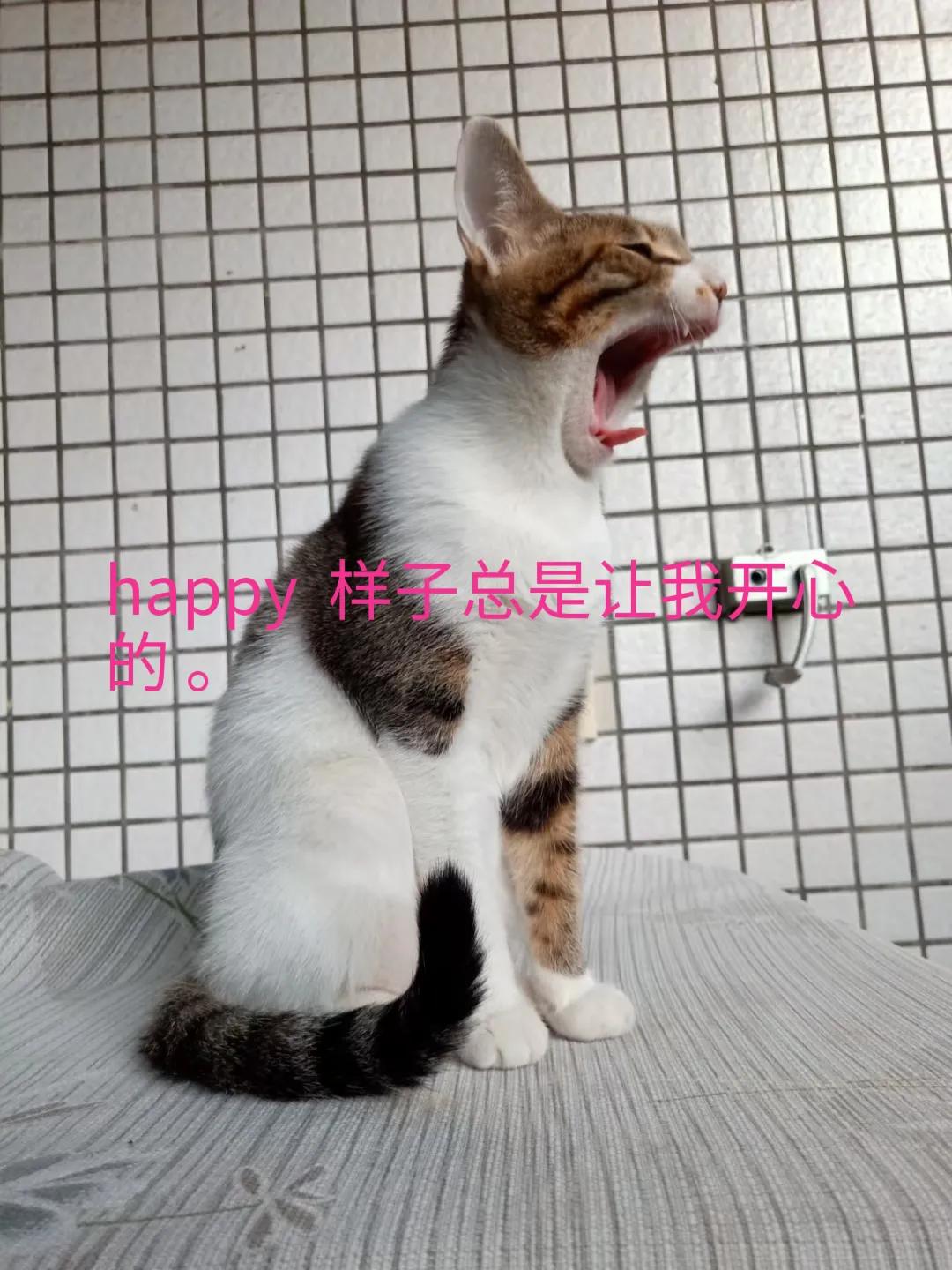 happy鎴戠殑濂冲鎻掓洸,浣爃appy鎴戜篃happy