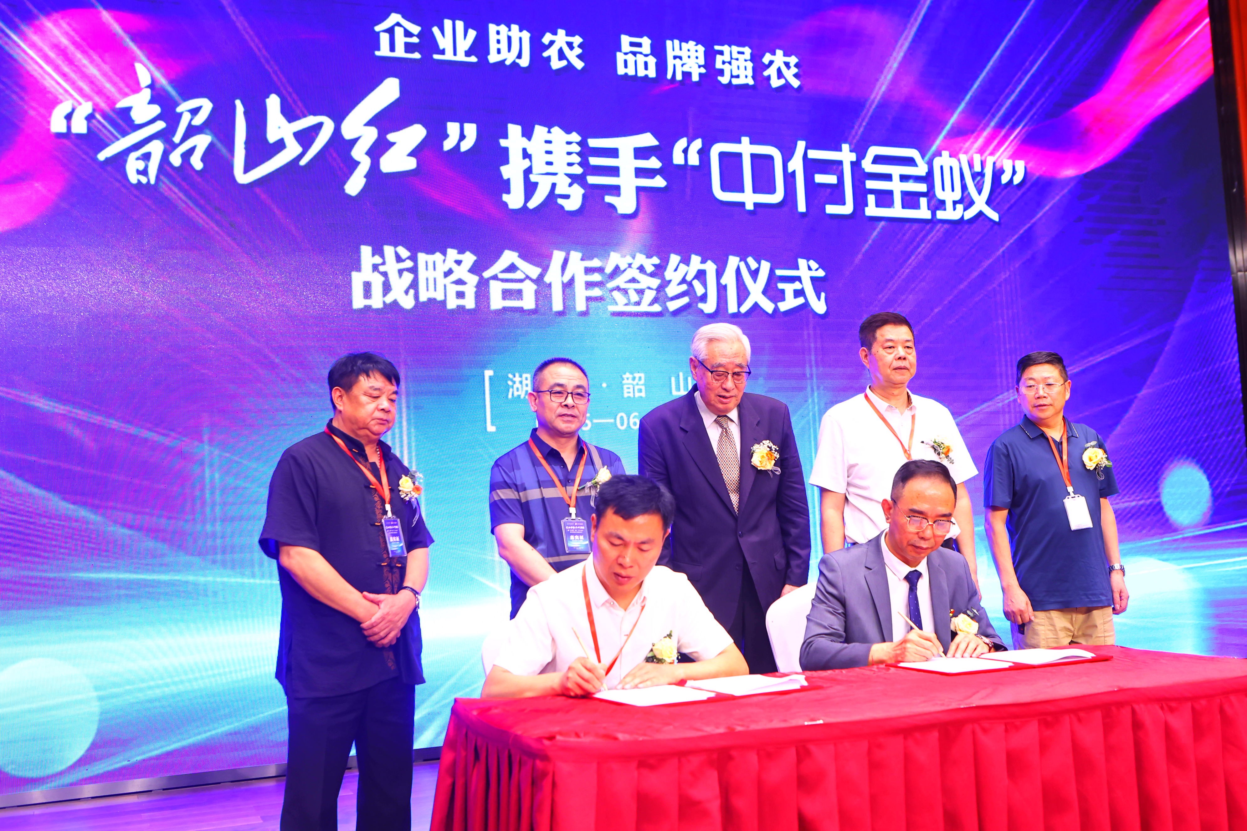 力推“韶山红”品牌：韶山茶业开辟网络销售市场新渠道