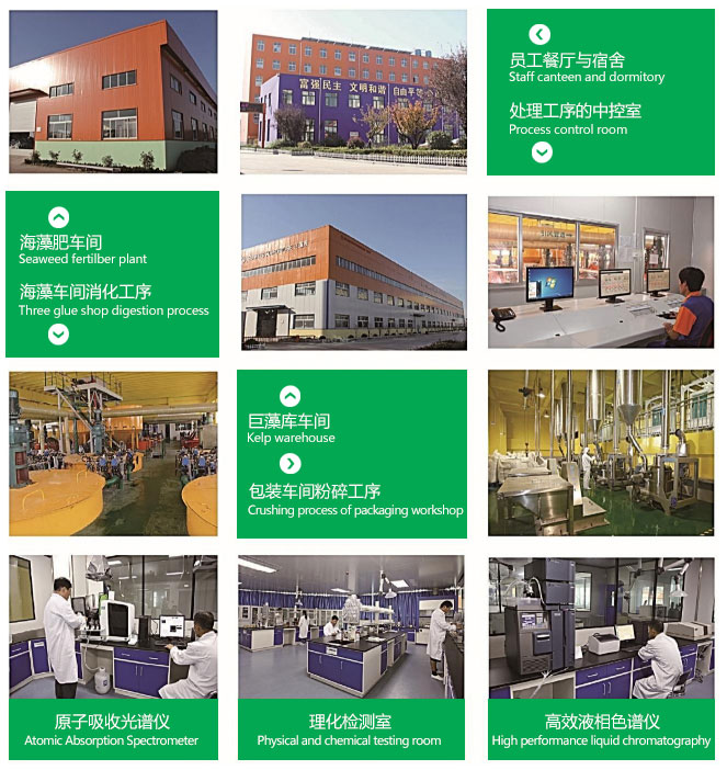 海藻生物有机肥全易货,恒泰海洋生物科技有限公司