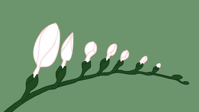 恐惧的时候为啥会尿失禁,吓尿了正常么