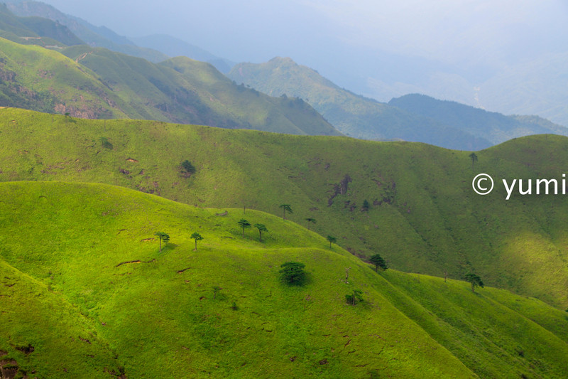 武功山的云中草原,武功山旅游攻略雪景
