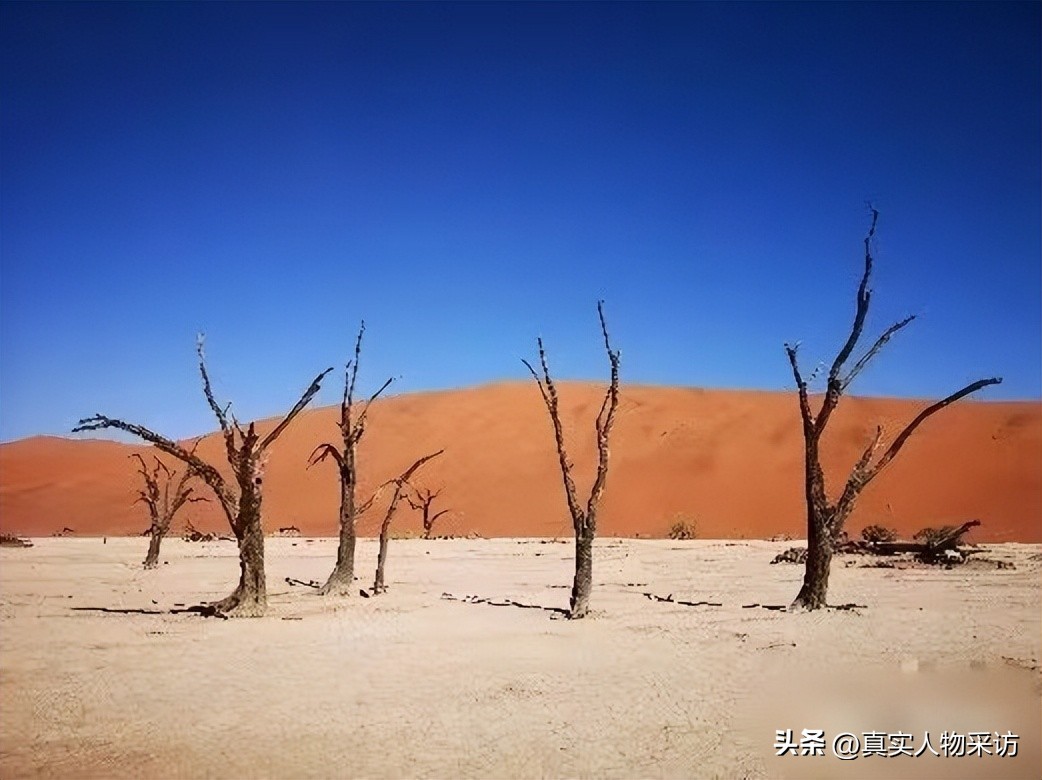 80后女生辞掉稳定工作创业,80后辞职旅游欧洲