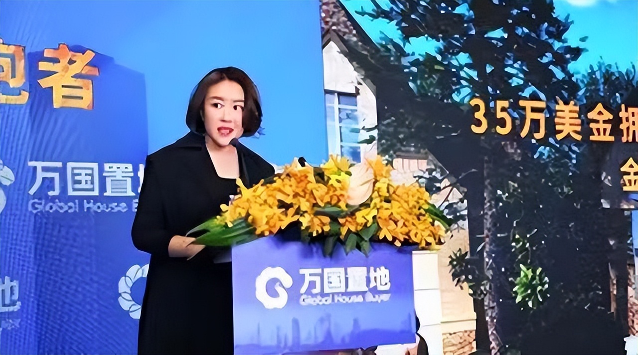 女子诈骗60岁企业家2000万,女企业家被诈骗1000多万