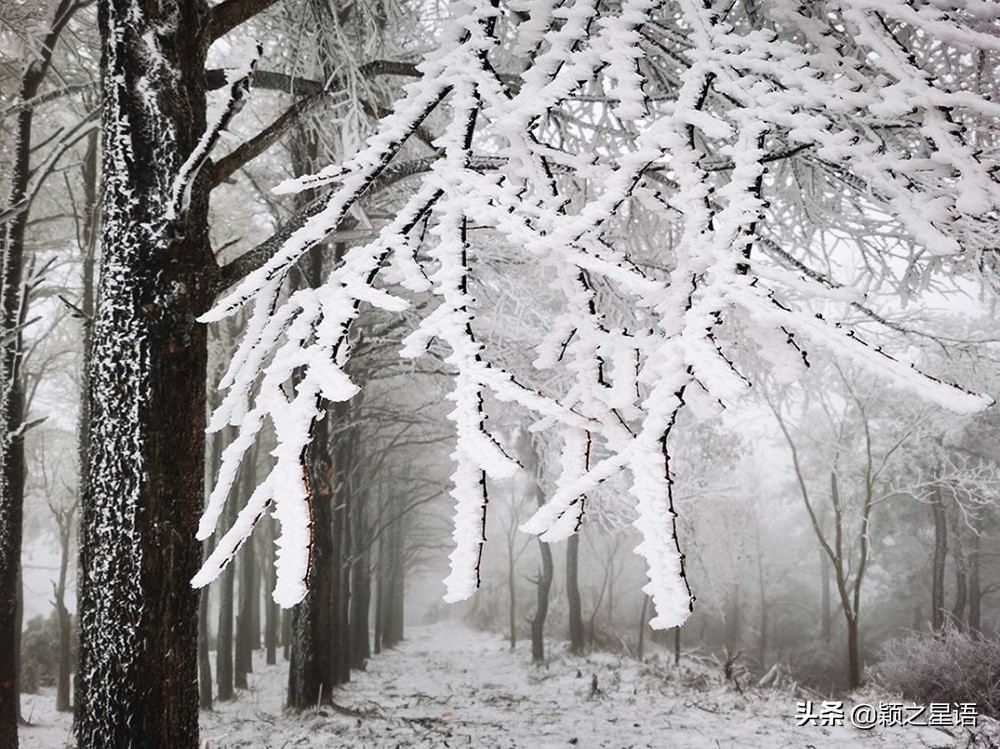 浙江宁波象山雪景,宁波雪景最新视频