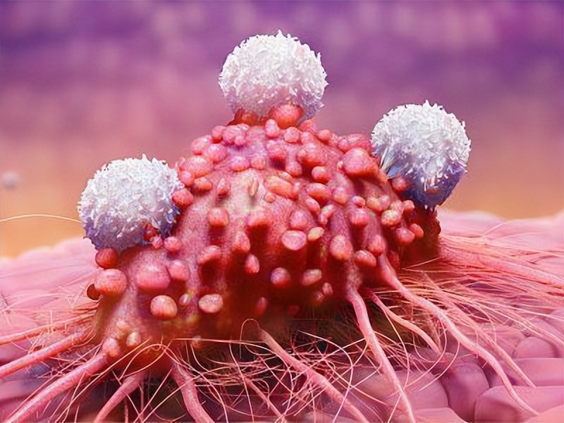 五种病,能通过“性传播”,你知道几个?医生劝告:别太放纵自己