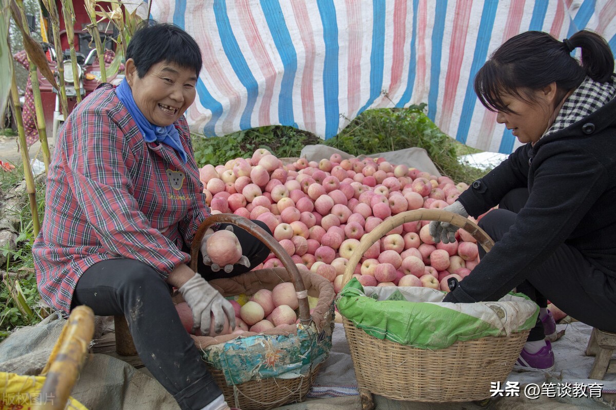 超市的苹果一般多少钱,超市里苹果的单价多少元