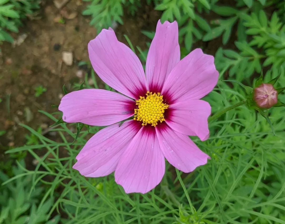 情人之间怎么做他才会一直爱你,不管是情人还是夫妻彼此都要珍惜