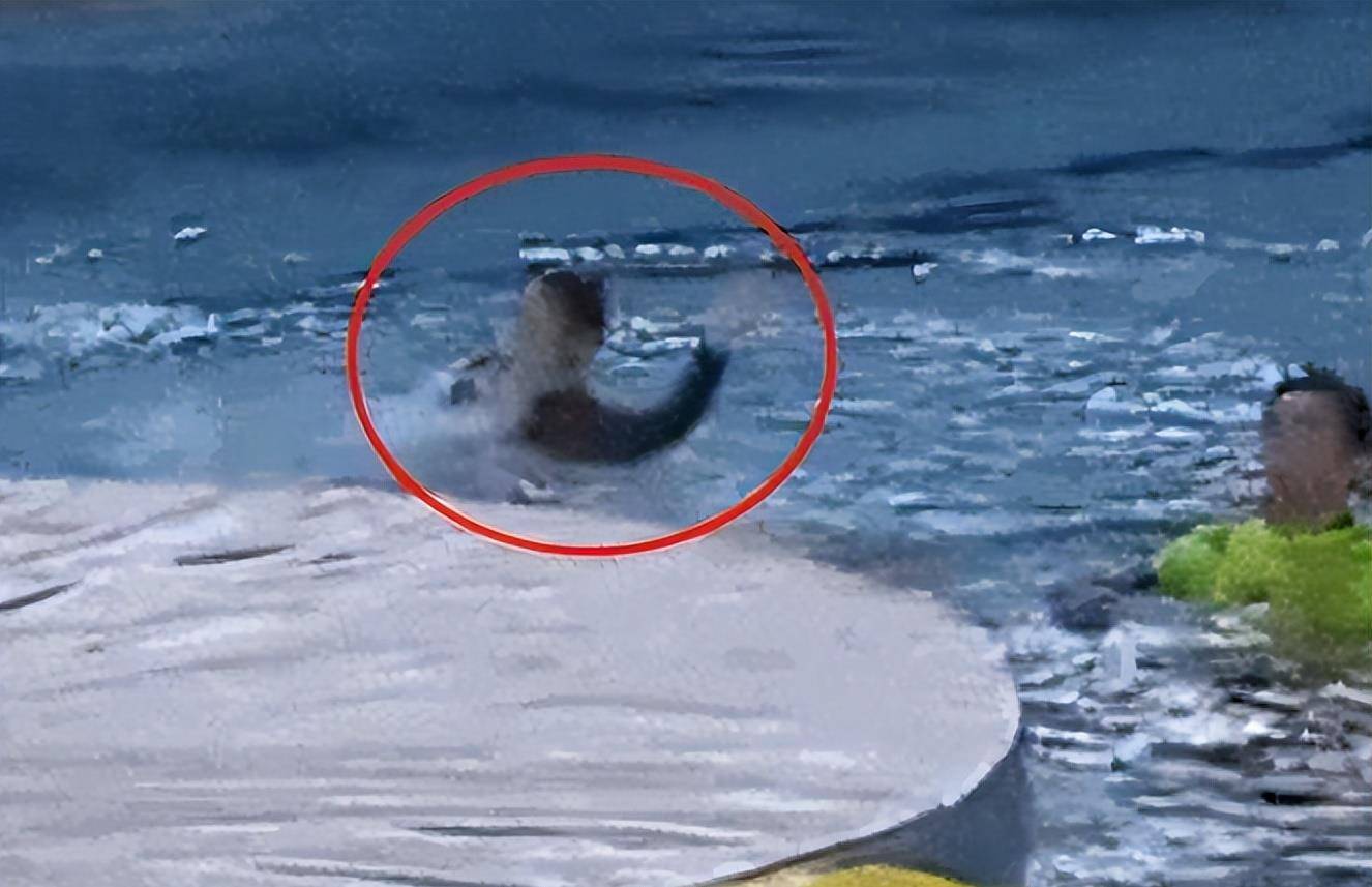 彭楚粤被骗喝油漆是真的吗,彭楚粤肖战现状