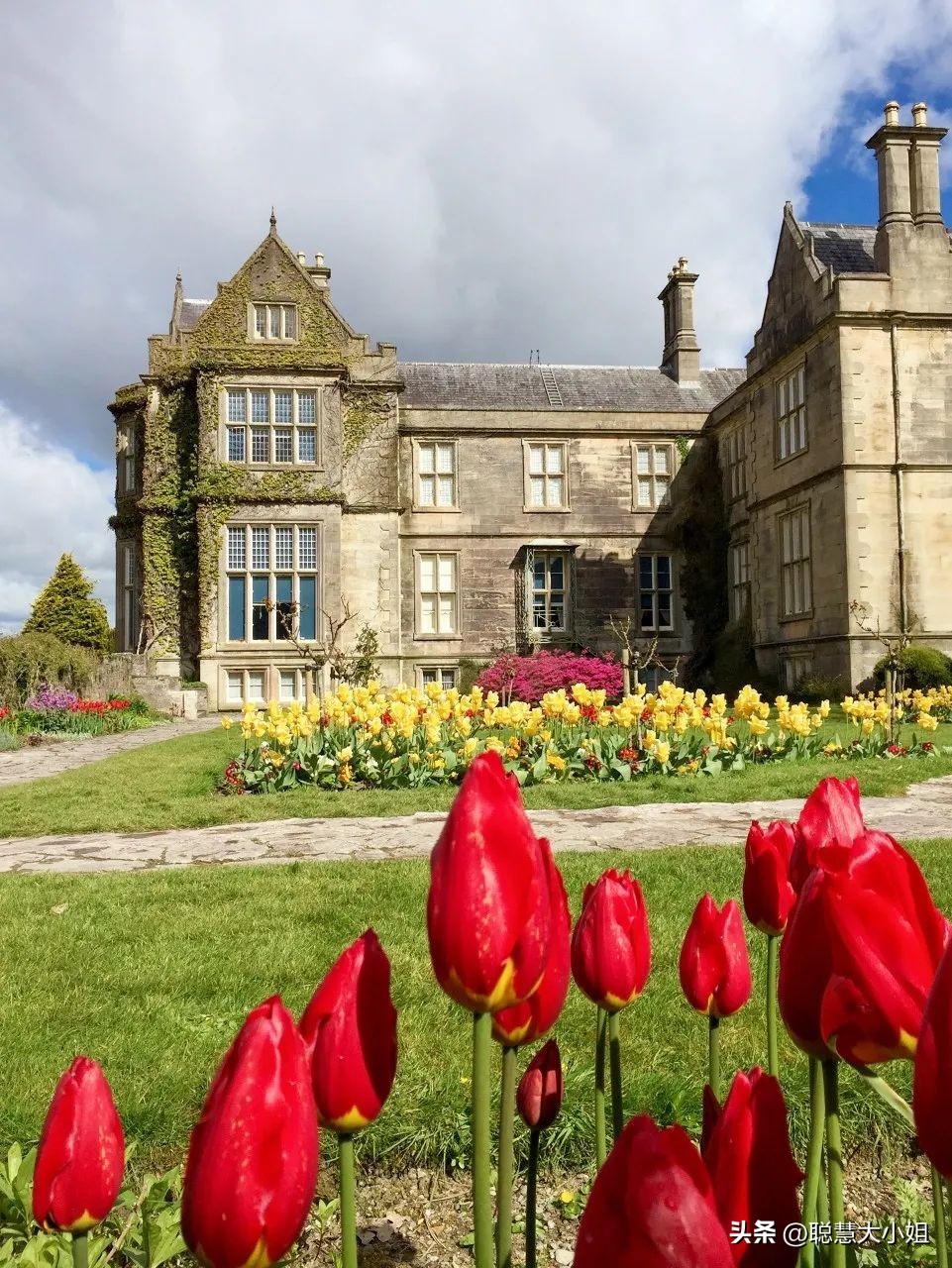 最绿的国家,最绿国家