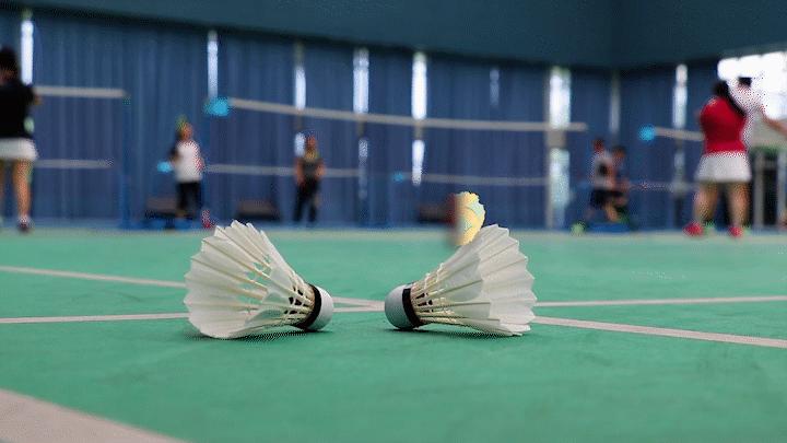 薅羊毛指南已送达请查收,终极薅羊毛指南