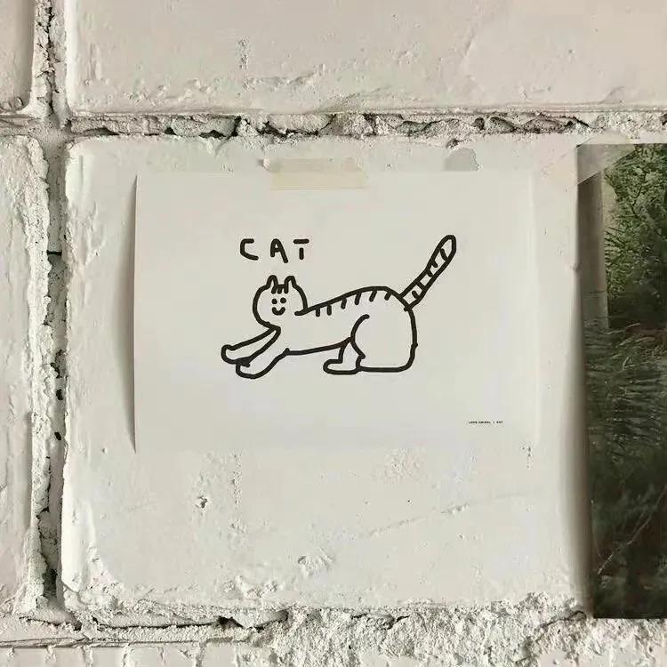 背景图优雅生活,生活随意的背景图高级感