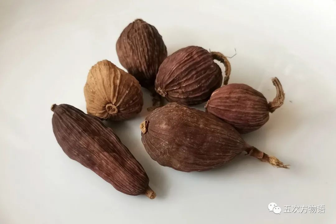 12种香料及分量,姜科植物的香料有哪些