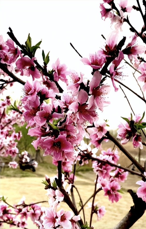 ＃“我是店长和你说”＃：长沙康多多医药代购为生活增彩