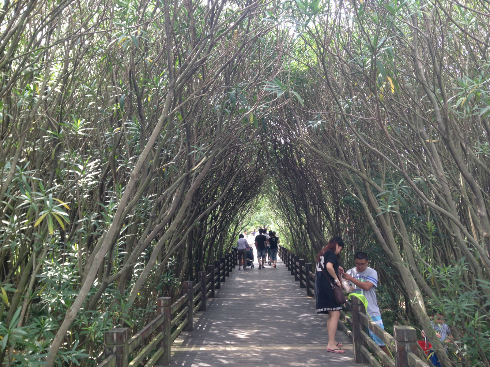 上海十一好玩的地方推荐,上海周末好玩的地方推荐免费