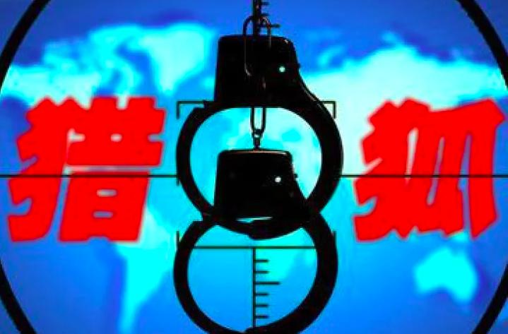 外逃人员为何会回国投案,外逃回国投案自首的政策