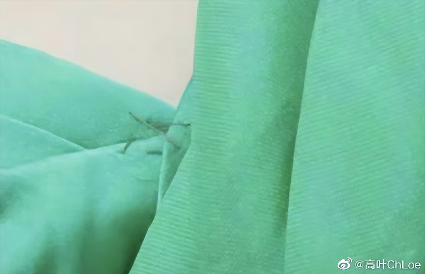 高叶戛纳红毯戴珍珠项链被吐槽,高叶谈戛纳红毯礼服