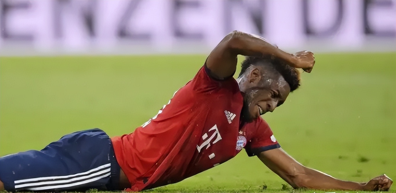 最强之盾意大利,最强之盾莱纳