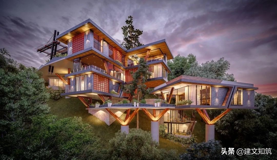 waf2023世锦赛,waf国内排名