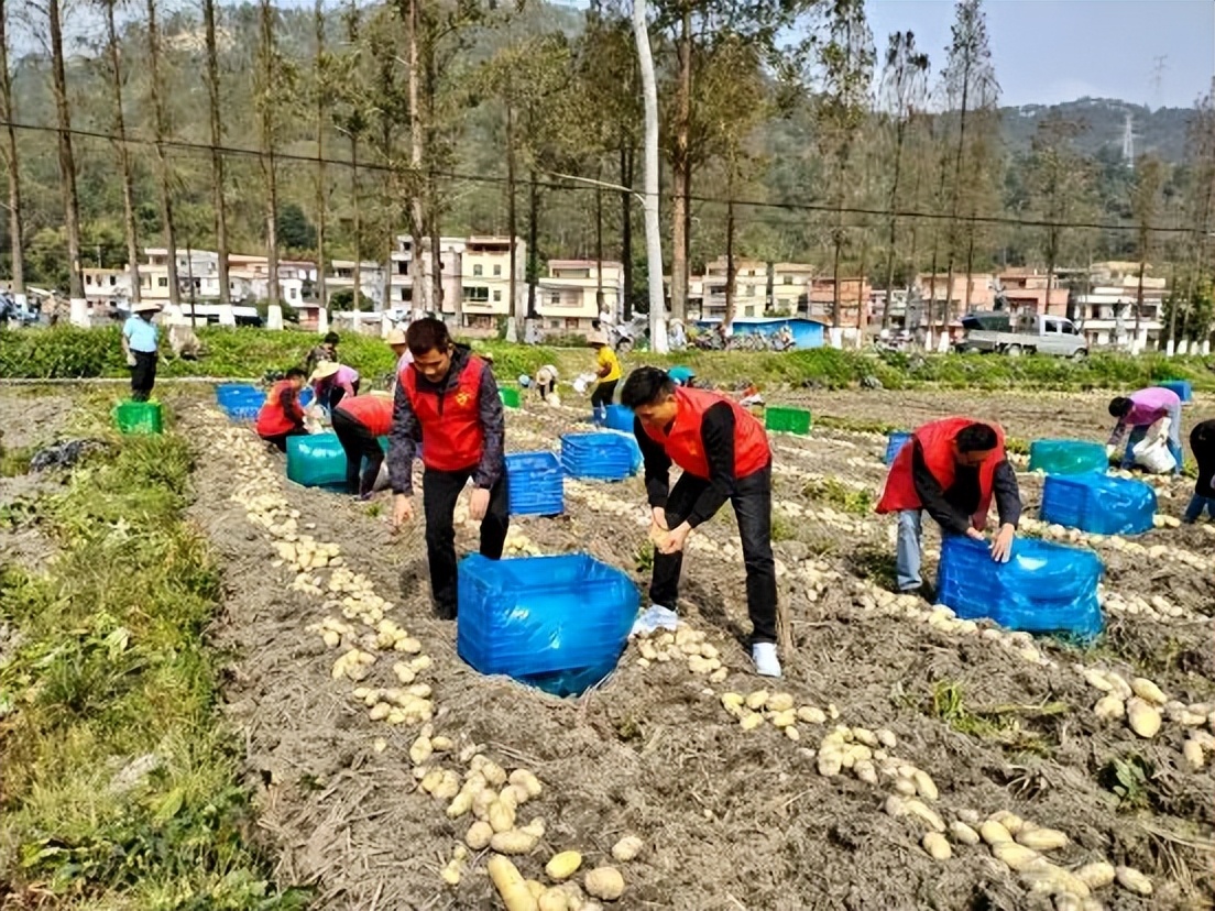 鑳介噺鍛ㄥ垔,鍏虫敞浜戞诞鏂伴椈