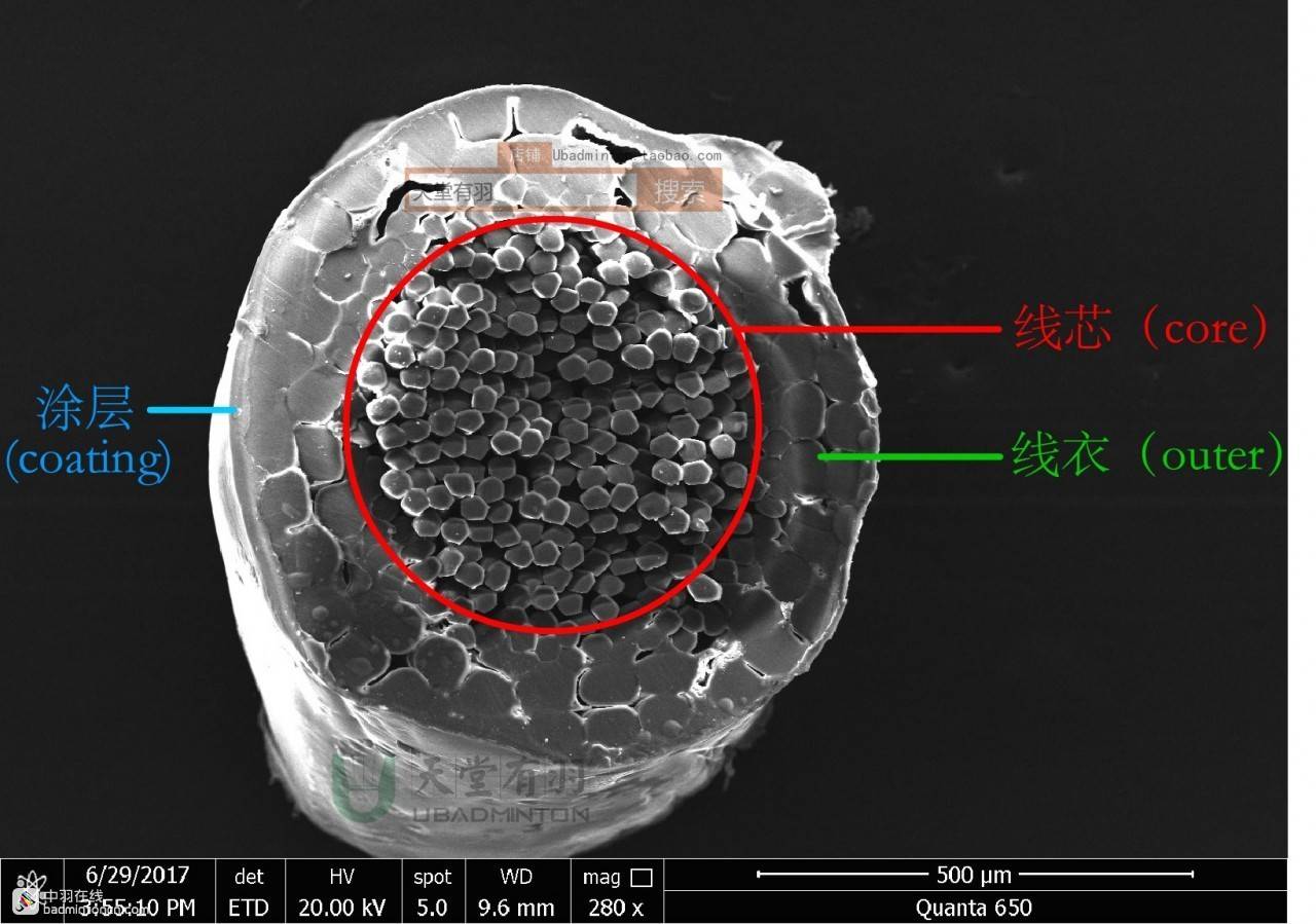 打羽毛球初学者的基础知识,羽毛球基础线能打吗