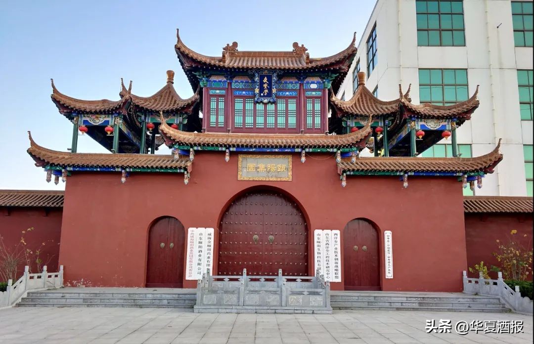 颐阳大补酒产品介绍,颐阳补酒32度500ml成分