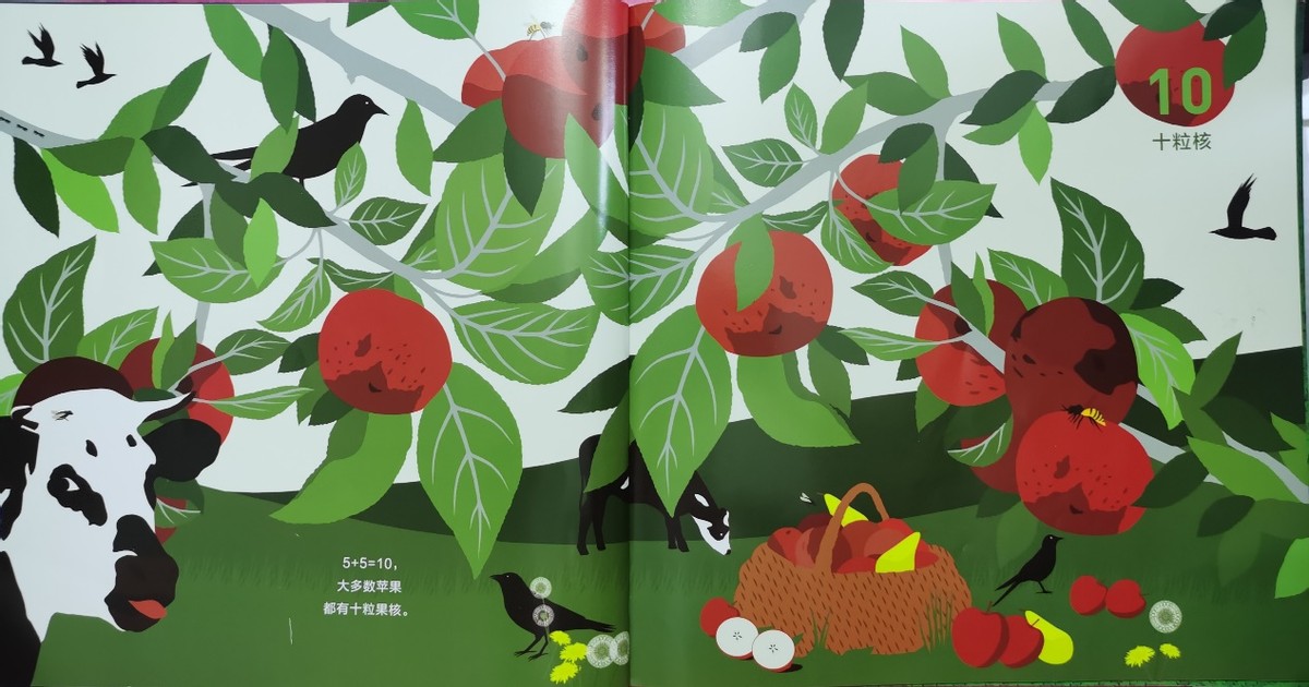 绘本和我一起数星星,儿童绘本推荐3-6岁星星主题