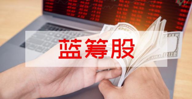 哪些是蓝筹股和白马股,估值偏低的蓝筹股都有哪些