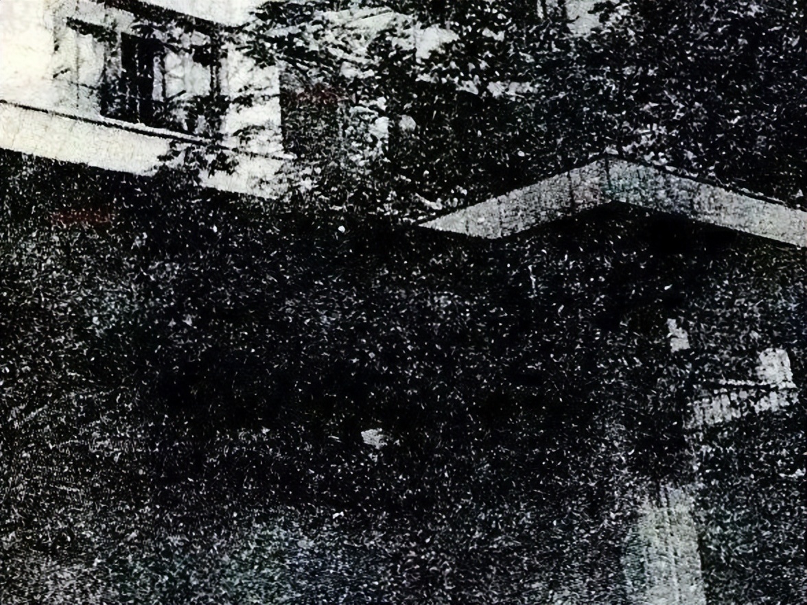 许昌市第十八中学校史,许昌市第八中学老校区