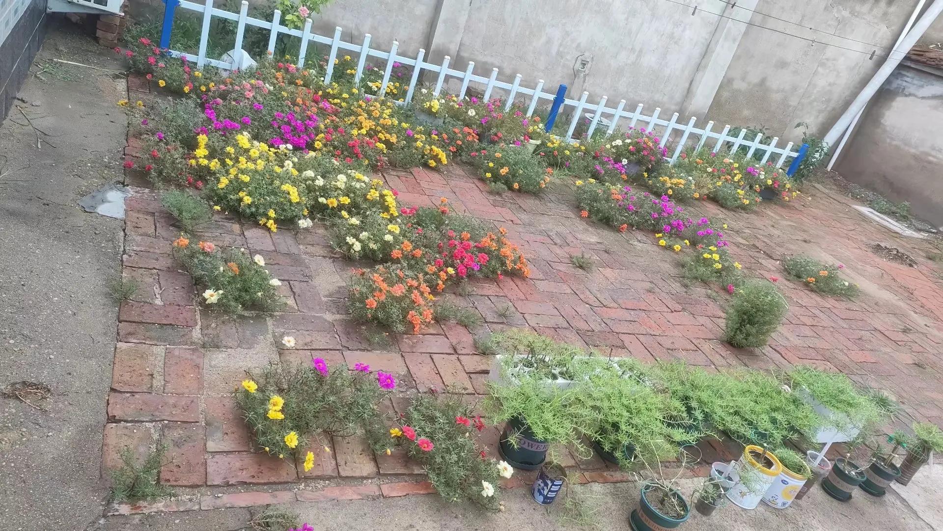 观看北京爱情故事,北京爱情故事电视剧好看吗