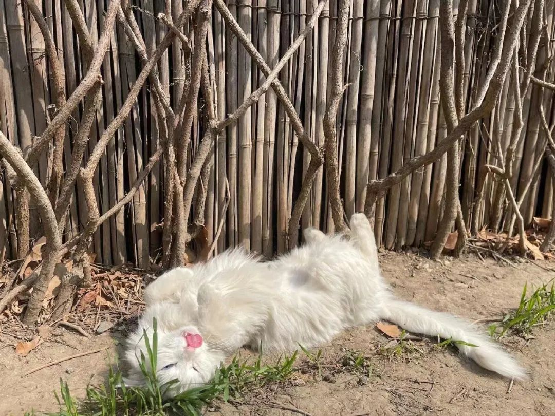 赵明明：上班摸鱼，是我的梦想!